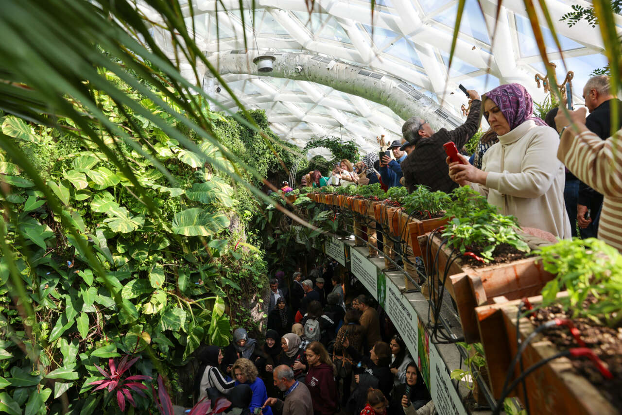 Konya’nın kelebek cenneti ziyaretçi rekoru kırdı 16
